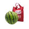 麒麟西瓜（海南） 商品缩略图0