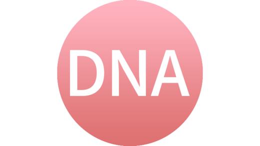 DNA产前检测 商品图0