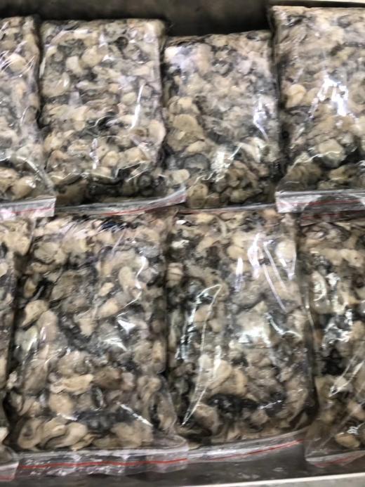 速冻海蛎 商品图2