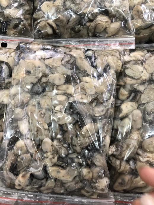 速冻海蛎 商品图3