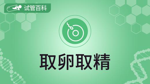 试管百科-取卵取精 商品图0