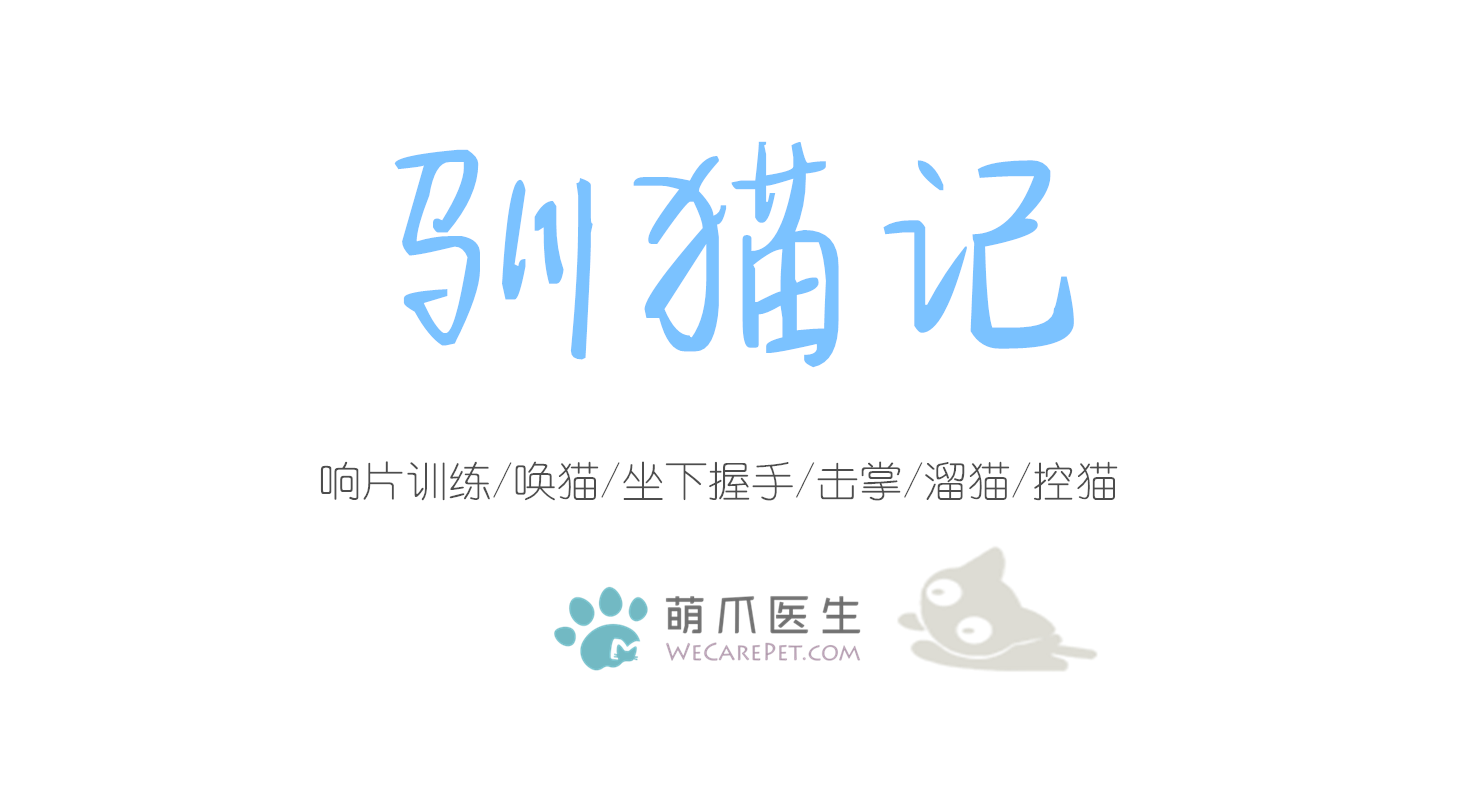 《驯猫记》