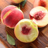 【重点推荐】山东泰安寒露蜜桃 新鲜孕妇水果大桃脆桃 金秋红蜜桃 商品缩略图1