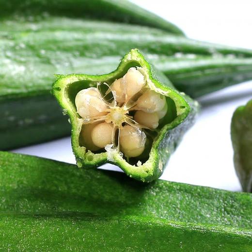 【强丽】脱水即食秋葵干 商品图5