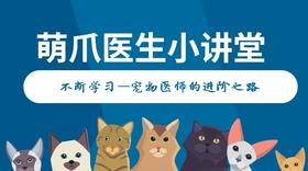 萌爪医生小讲堂