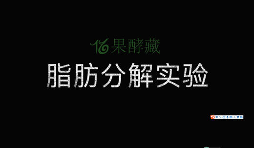 脂肪分解实验 商品图0