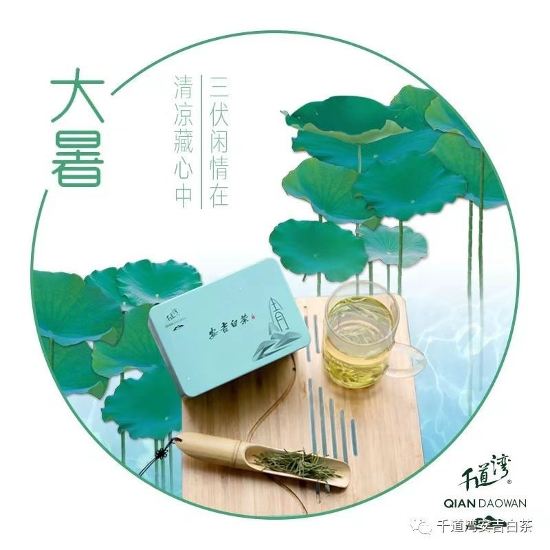 青山 • 安吉白茶45克/罐