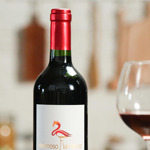 智利福莱门赤霞珠红葡萄酒750ml 商品图5