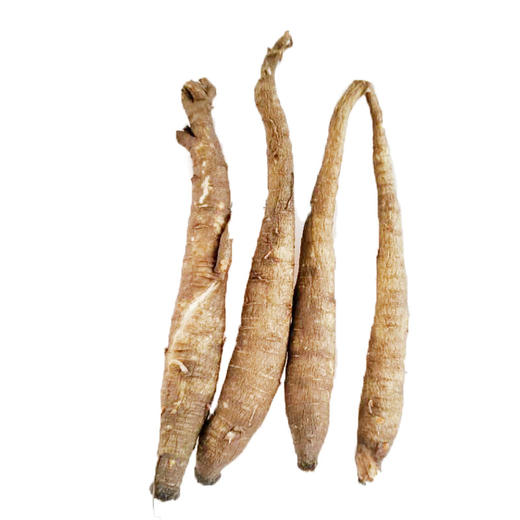 【嘎吉吉品】现货 新鲜菜当归农家现挖现发5斤装甜当归