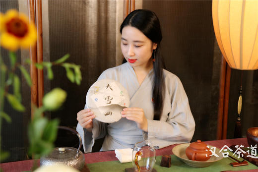 首席茶道老师 诗瑜带你品味经典普洱茶大雪山 商品图0