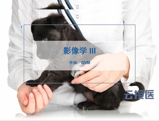 2019年9月影像学3 商品图0