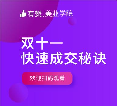 双十一快速成交秘诀 商品图0