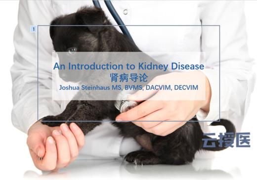 2019年5月肾病 商品图0