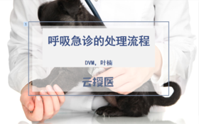 2019年8月呼吸急诊