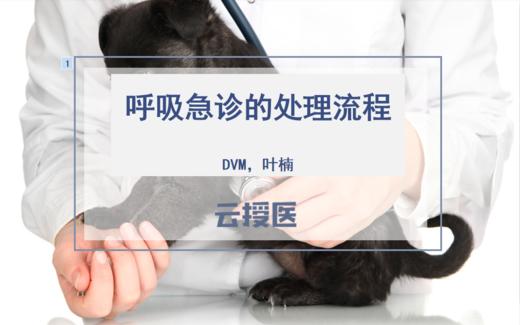 2019年8月呼吸急诊 商品图0