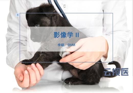 2019年4月影像学2 商品图0