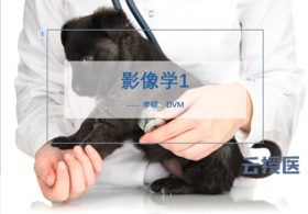 2019年2月影像学1