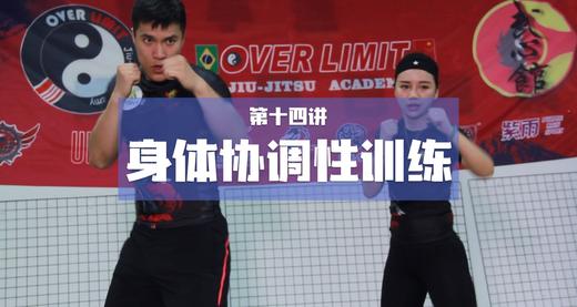 14.身体协调性训练 商品图0