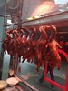 烤鸭/脆皮鸭（预定专属 今天定明天到 当天现货结束请拍这里） 商品缩略图2