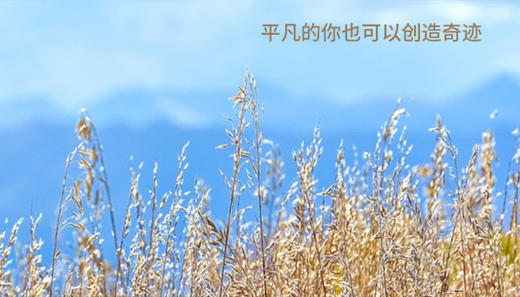 奋发有为 商品图0