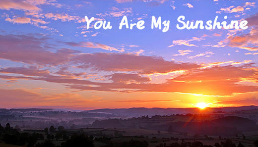 我的阳光 商品图0