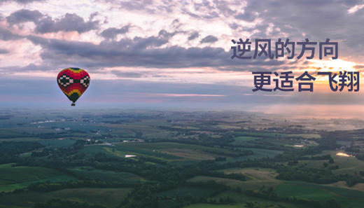 逆风飞翔 商品图0
