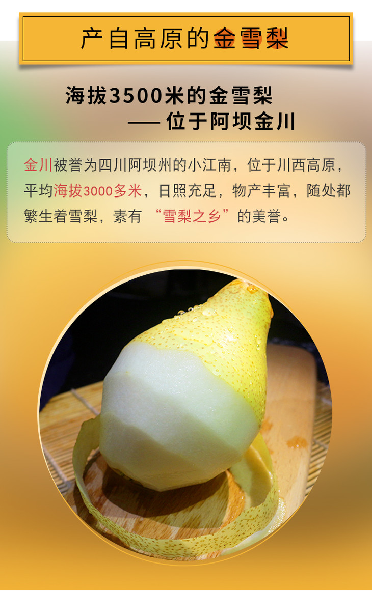 【雪梨皇后】金川雪梨鲜果 金雪梨3号5斤装 ~中果