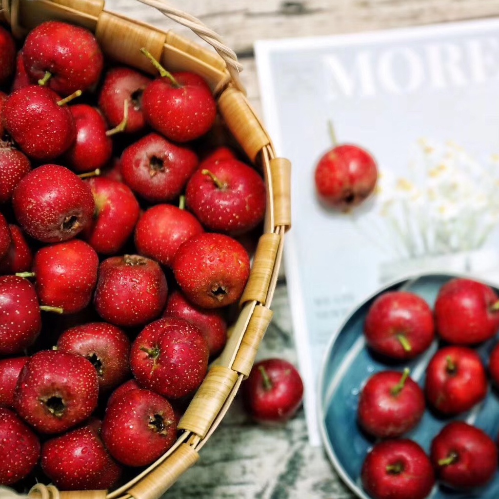 山东现摘山楂果酸甜可口开胃消食北京冰糖葫芦专用品种产地直发5斤