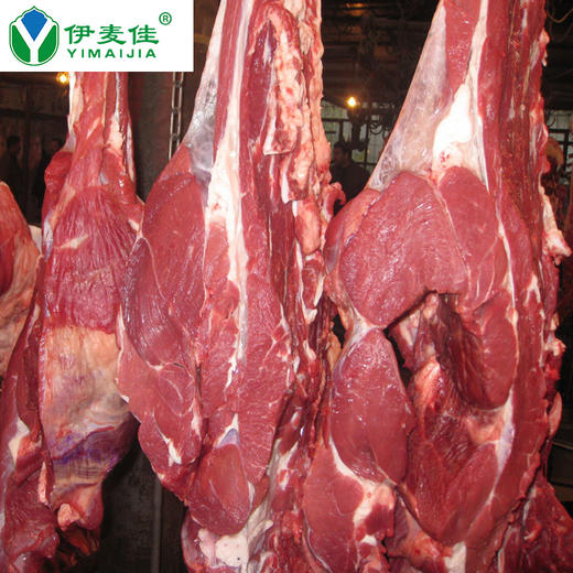 青海清真纯牦牛后腿肉 （20+/-0.5）斤/件 真空冷链包邮 清真溯源源头把关安全放心可靠佰客基 商品图3