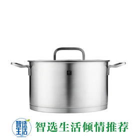 双立人深烧锅ZW-C131