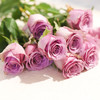 【周四秒杀】紫霞仙子玫瑰15枝49.8元 商品缩略图2