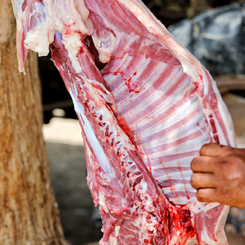 【新疆羊 尉犁排酸羊肉10斤】正宗尉犁县东河滩吃碱草的羊羔肉 新疆原