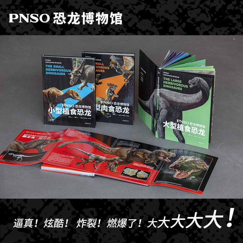 pnso恐龙博物馆目录图片