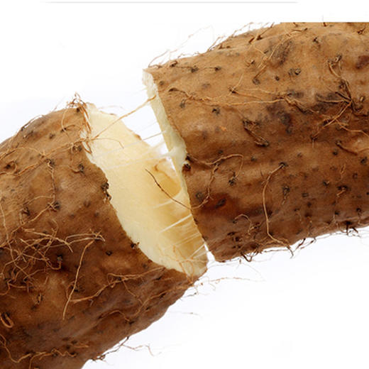 瑞昌现挖山药500g±50g【团购价14.9元】