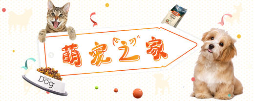 一动不动 任意铲屎官把玩 商品图0