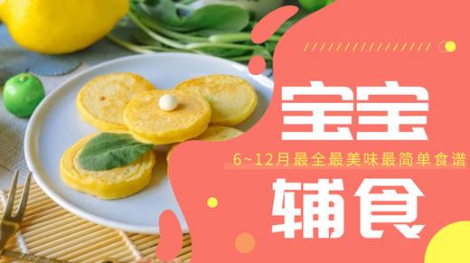 11m+鹰嘴豆奶香小饼 商品图0