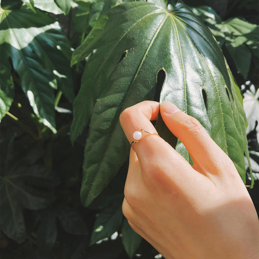 小行星 商品图1