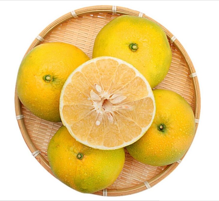 葡萄柚 480g—500g/份