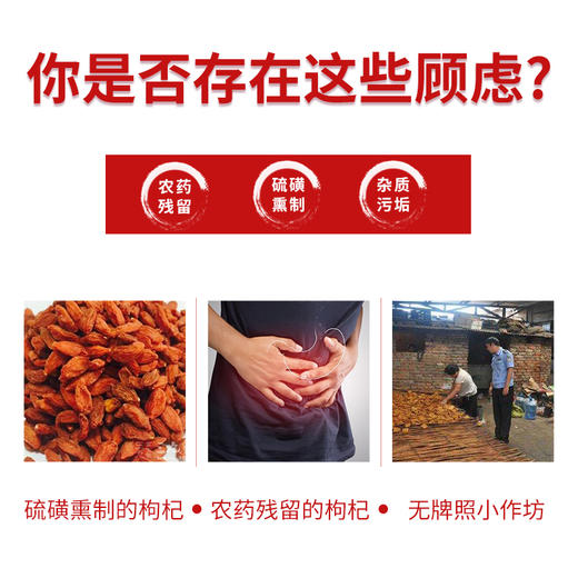待用-【210g无农残枸杞】沃福百瑞  无农残枸杞210g罐装  粒大不结块 干嚼口感好，569项农残检测！ 商品图2