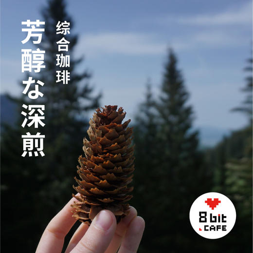 8bit经典日式深煎芳醇な深煎综合珈琲松屋式手冲咖啡250g 商品图8