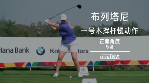布列塔尼  一号木挥杆慢动作（正面角度）欣赏 商品图0