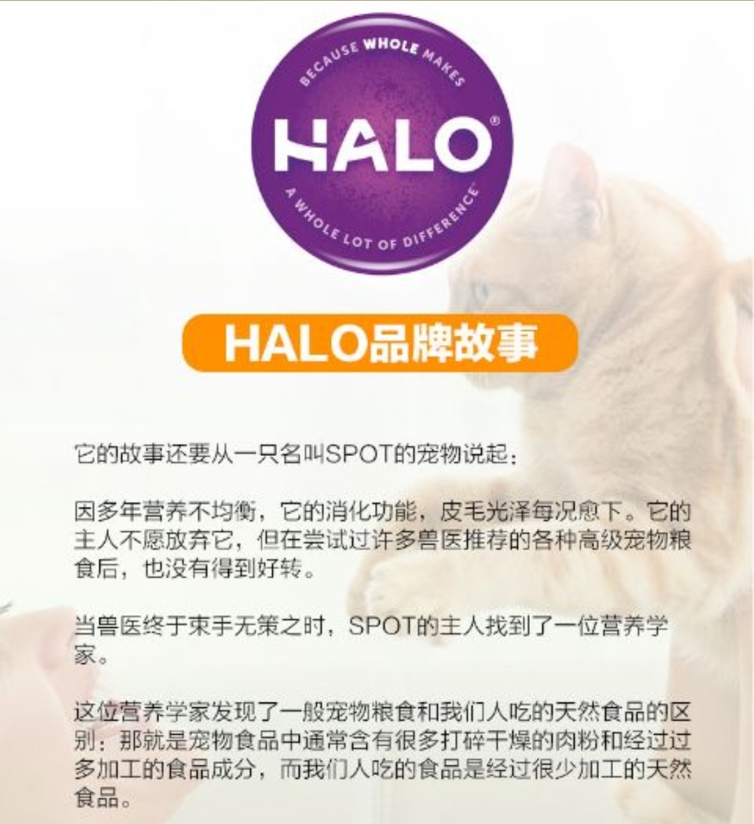 halo自然光环 鸡肉鸡肝无谷幼猫粮 2.72kg