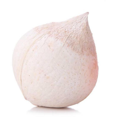 【精选】泰国椰子1颗(送开椰器+吸管)【当天提货】 商品图2