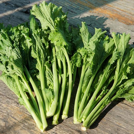 生态香芥菜 | 绿家自产 * Ecological mustard | Self-production 商品图1