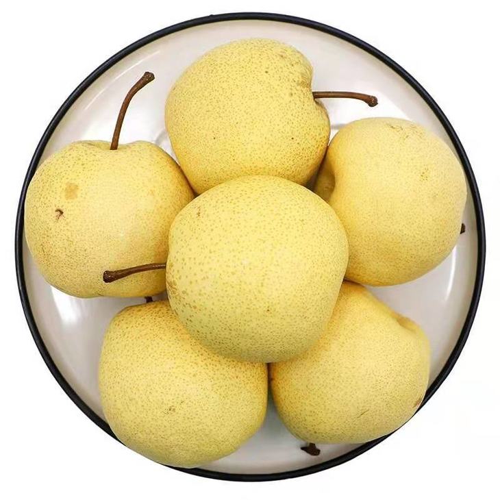 5元购【冰糖雪梨】9斤左右 果大,皮薄,色亮,质脆,含糖量高,郁香爽口
