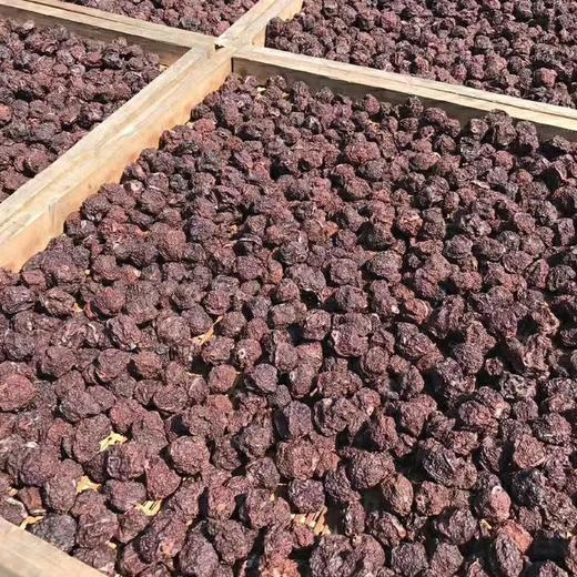 永泰李干 商品图2