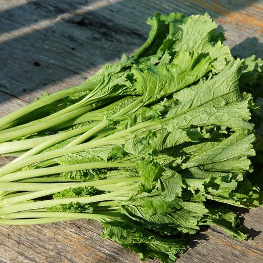 生态香芥菜 | 绿家自产 * Ecological mustard | Self-production 商品图0