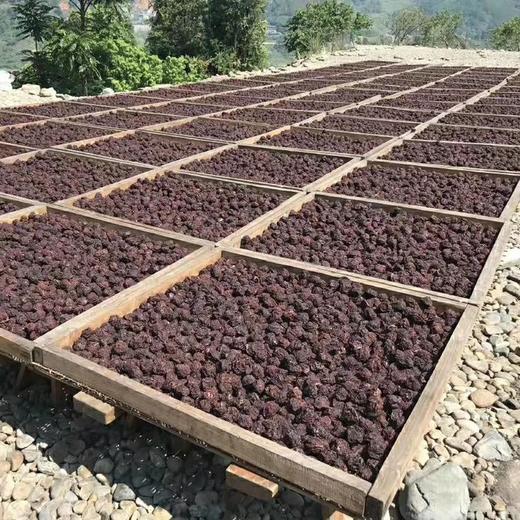 永泰李干 商品图3