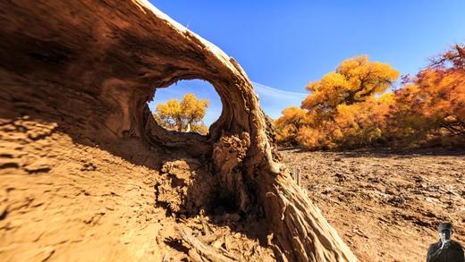 XPM摄影教育 | 公开课--许伟华 商品图4