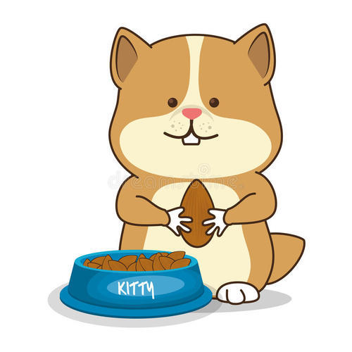 实物商品 商品图0